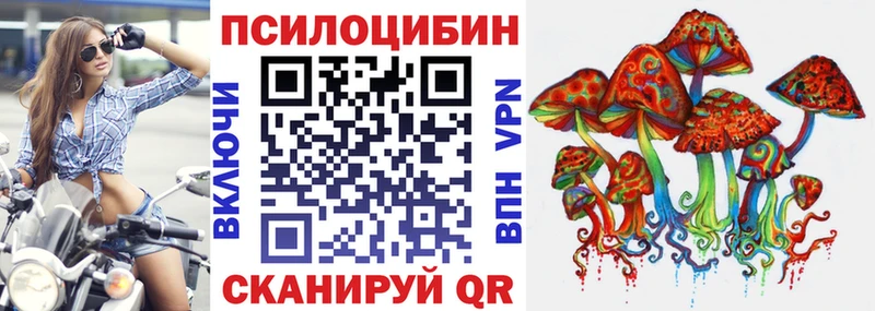 Галлюциногенные грибы MAGIC MUSHROOMS  как найти закладки  ОМГ ОМГ онион  Знаменск 